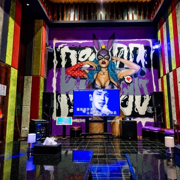 尊貴水療 KTV 房,霓虹主題。
